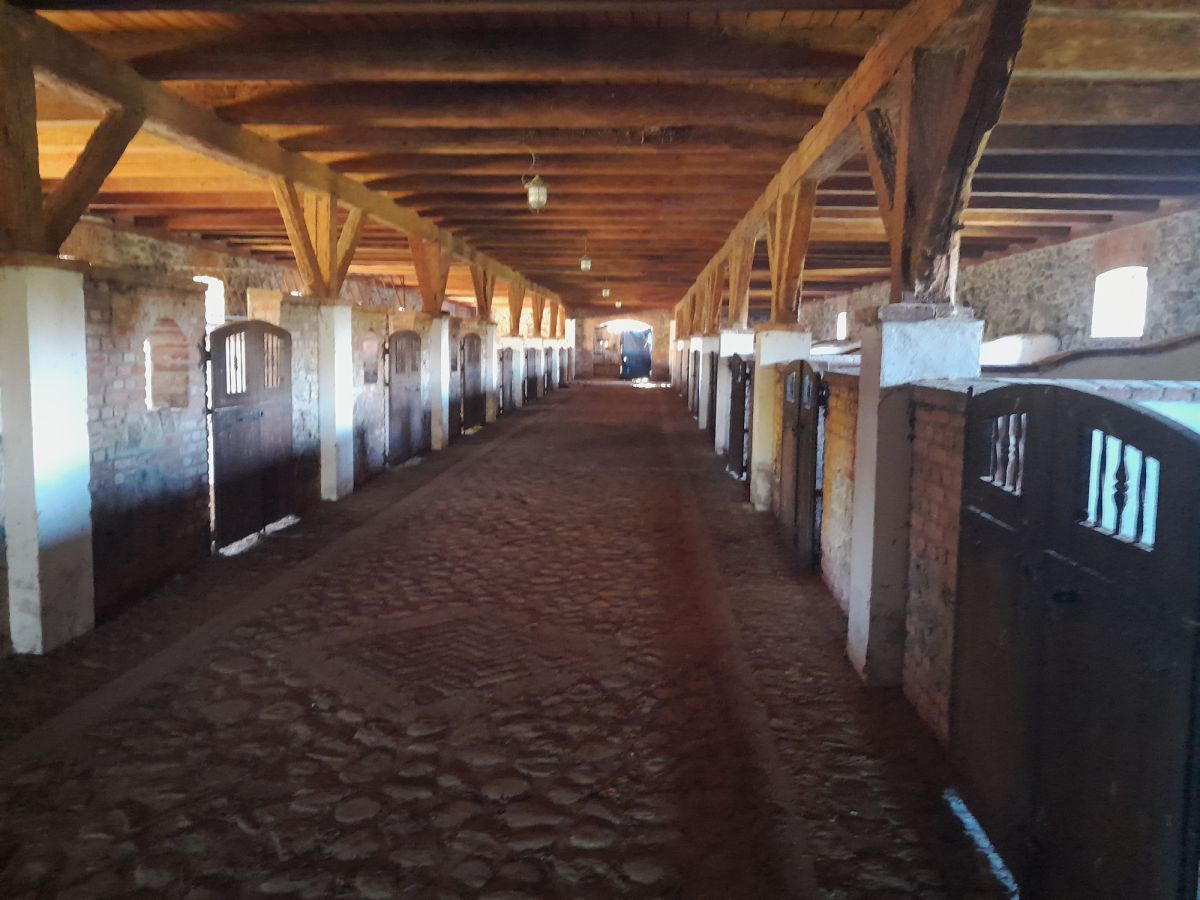 Komercyjny na sprzedaż