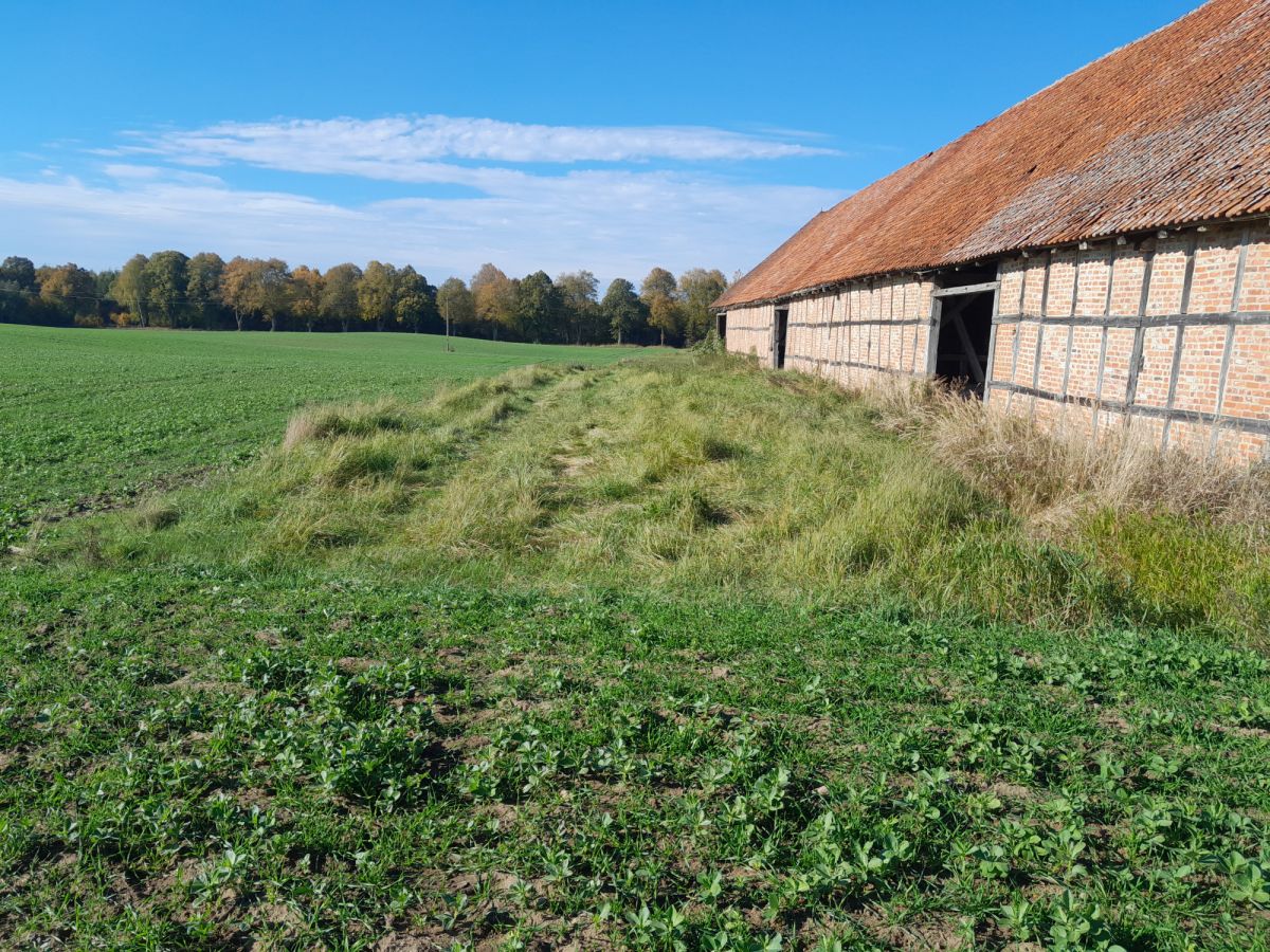 Komercyjny na sprzedaż