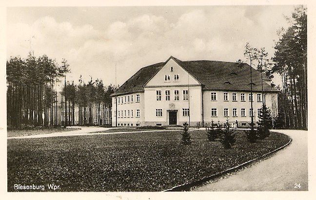 Komercyjny na sprzedaż