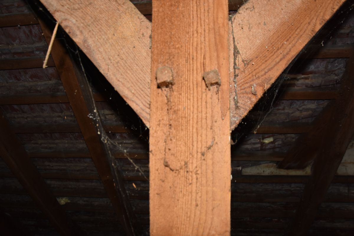 Komercyjny na sprzedaż