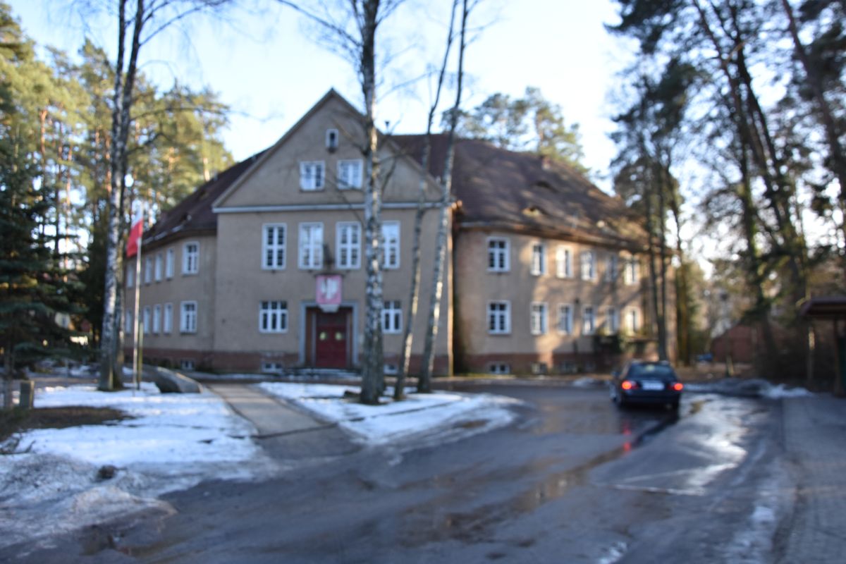 Komercyjny na sprzedaż