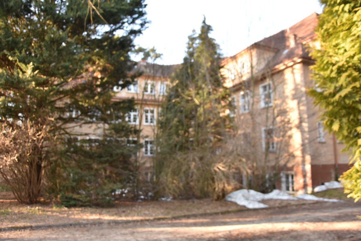 Komercyjny na sprzedaż