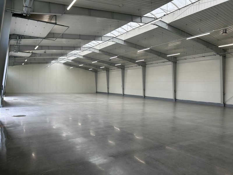 Komercyjny na wynajem