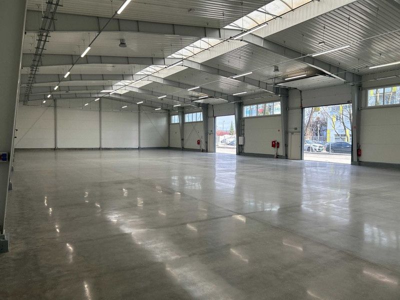 Komercyjny na wynajem