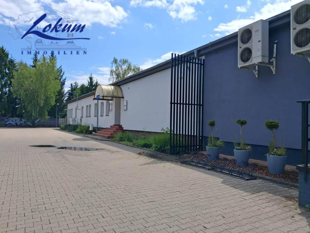 Komercyjny na wynajem