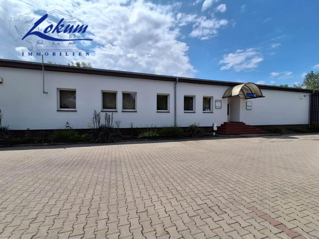 Komercyjny na wynajem