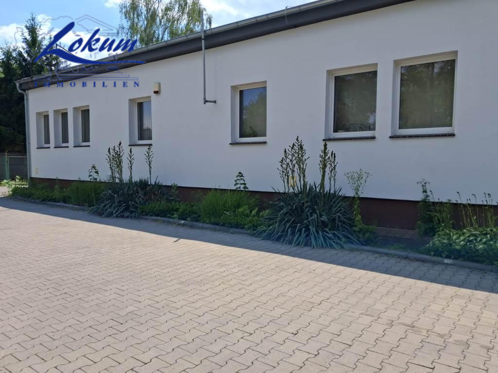 Komercyjny na wynajem