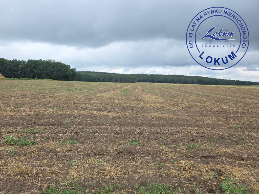 Dom na sprzedaż