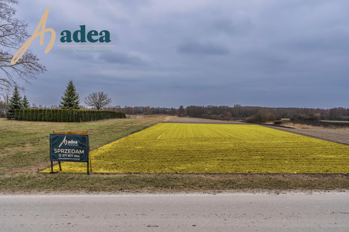 Działka zagrodowa 30 arów – Ludwinów, gm. Chełm