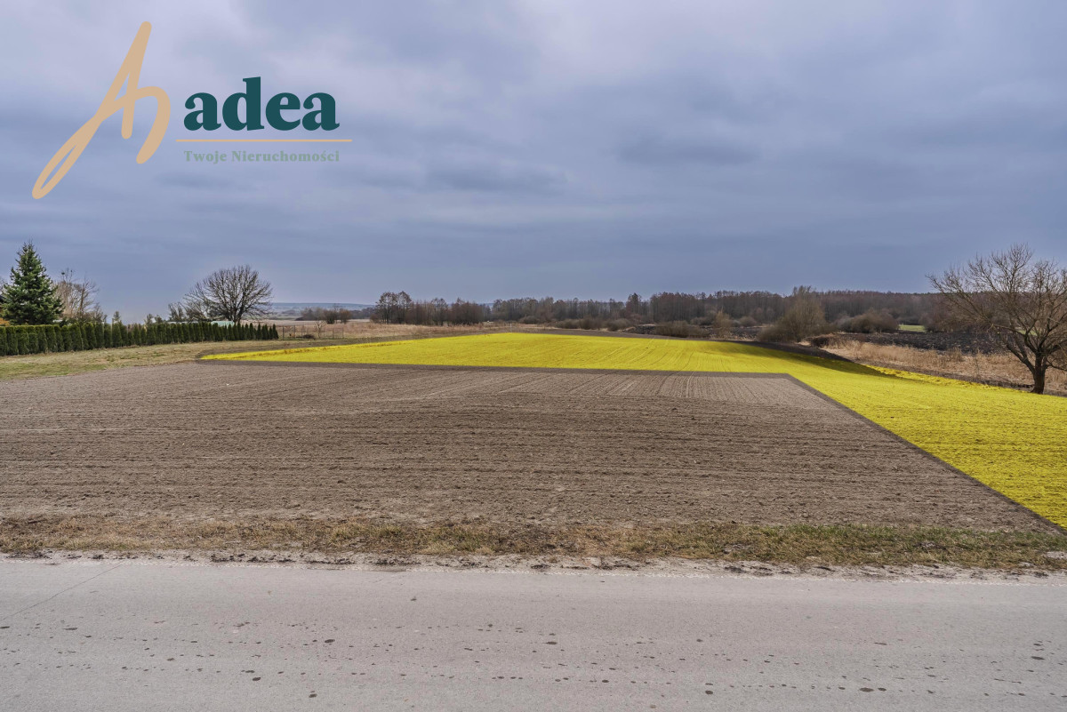 Działka 30 arów–część budowlana + rolna | Ludwinów