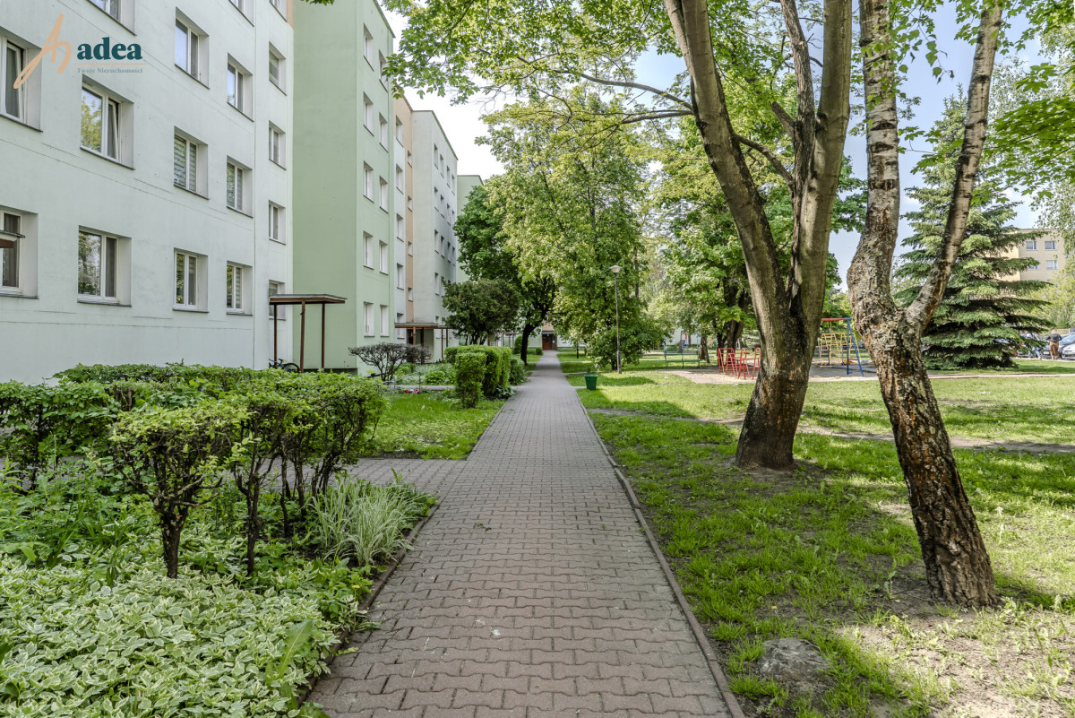 Mieszkanie 49,5 m² przy ul. Wolności