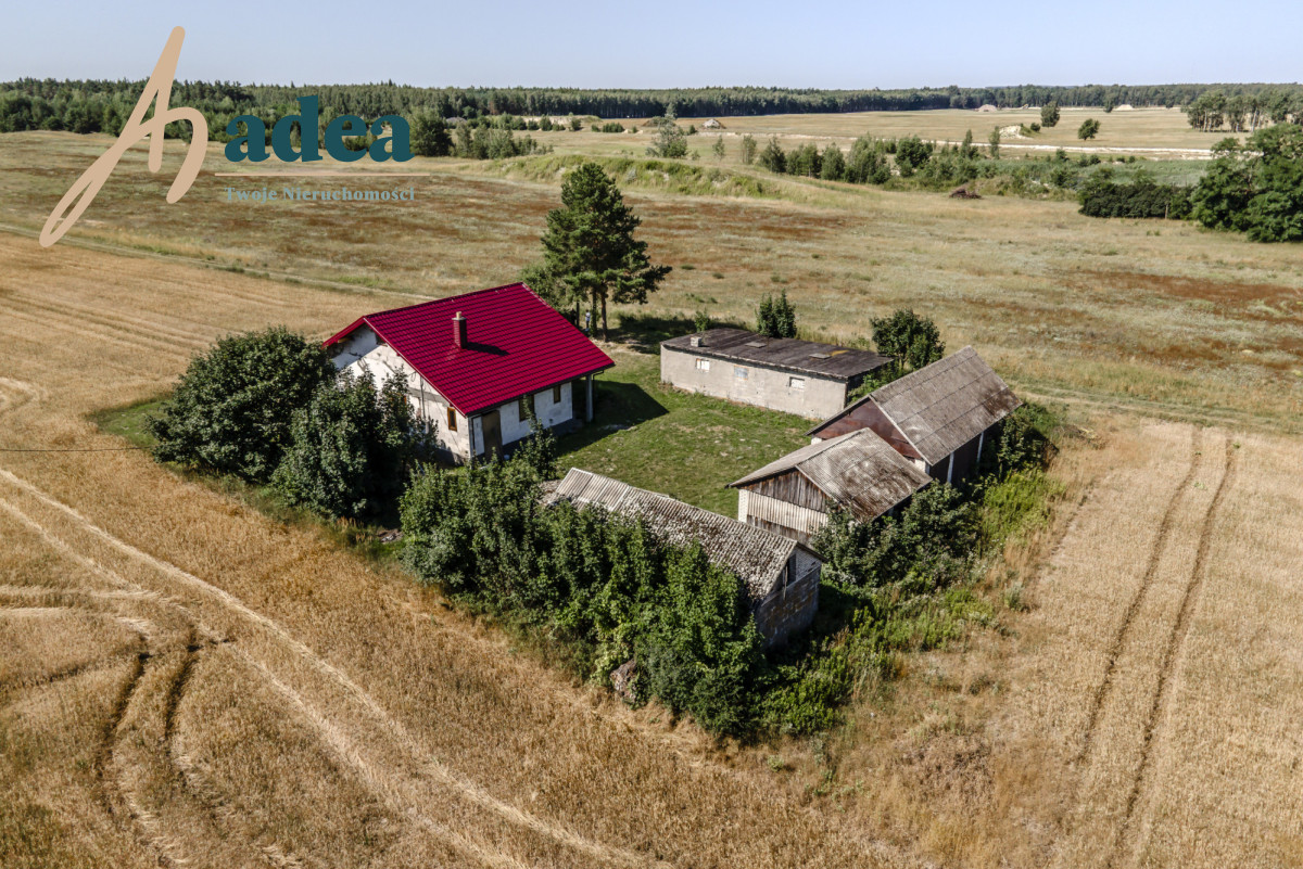 Siedlisko 1,8 ha | dom po gruntownej przebudowie
