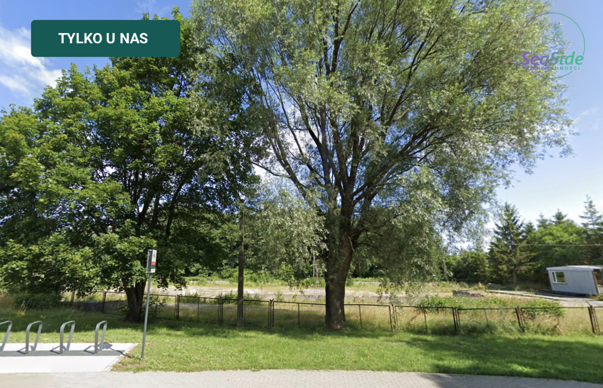 Komercyjny na wynajem