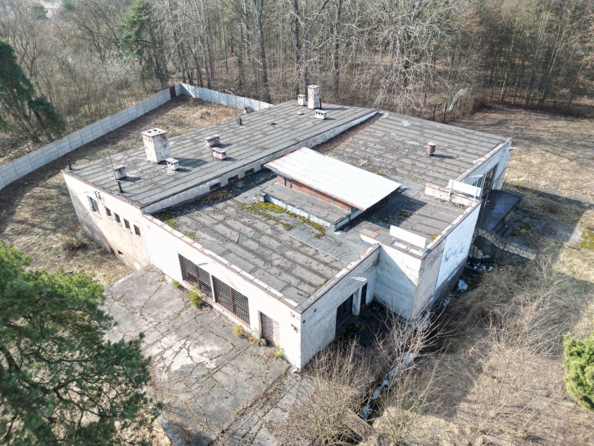 Komercyjny na sprzedaż