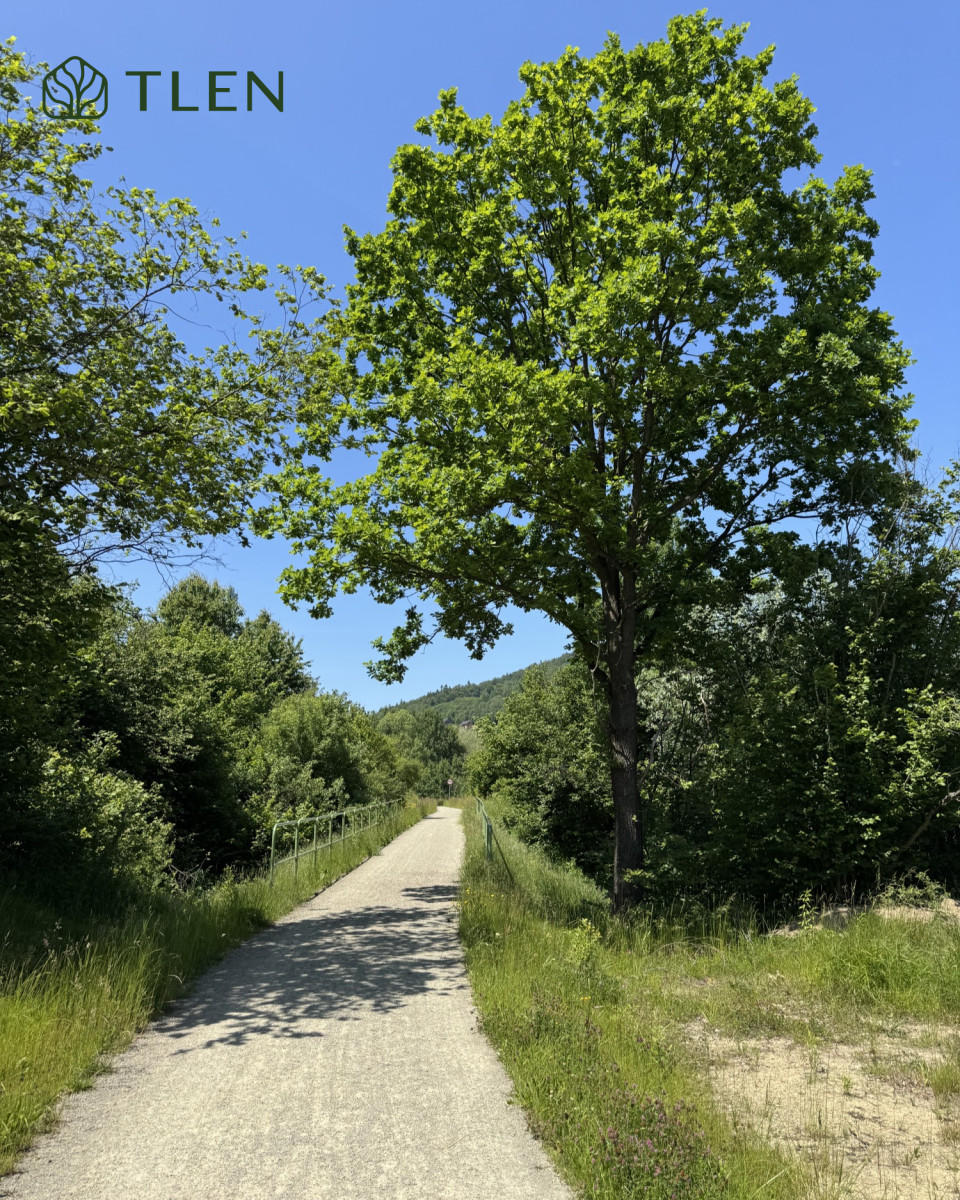 Dom z potencjałem – Beskid Niski Zalew Klimkowski