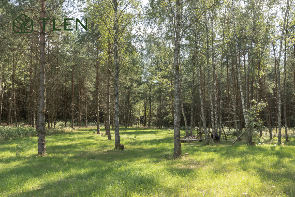 Działka 8,8 ha z projektem domu 150m2 i PnB