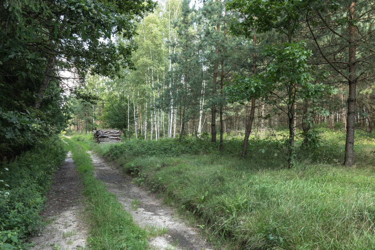Działka 8,8 ha z projektem domu 150m2 i PnB