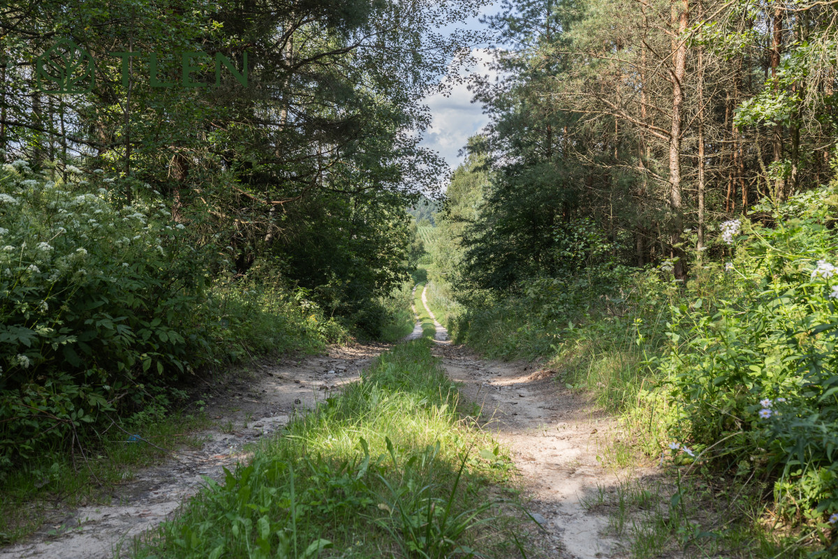 Działka 8,8 ha z projektem domu 150m2 i PnB