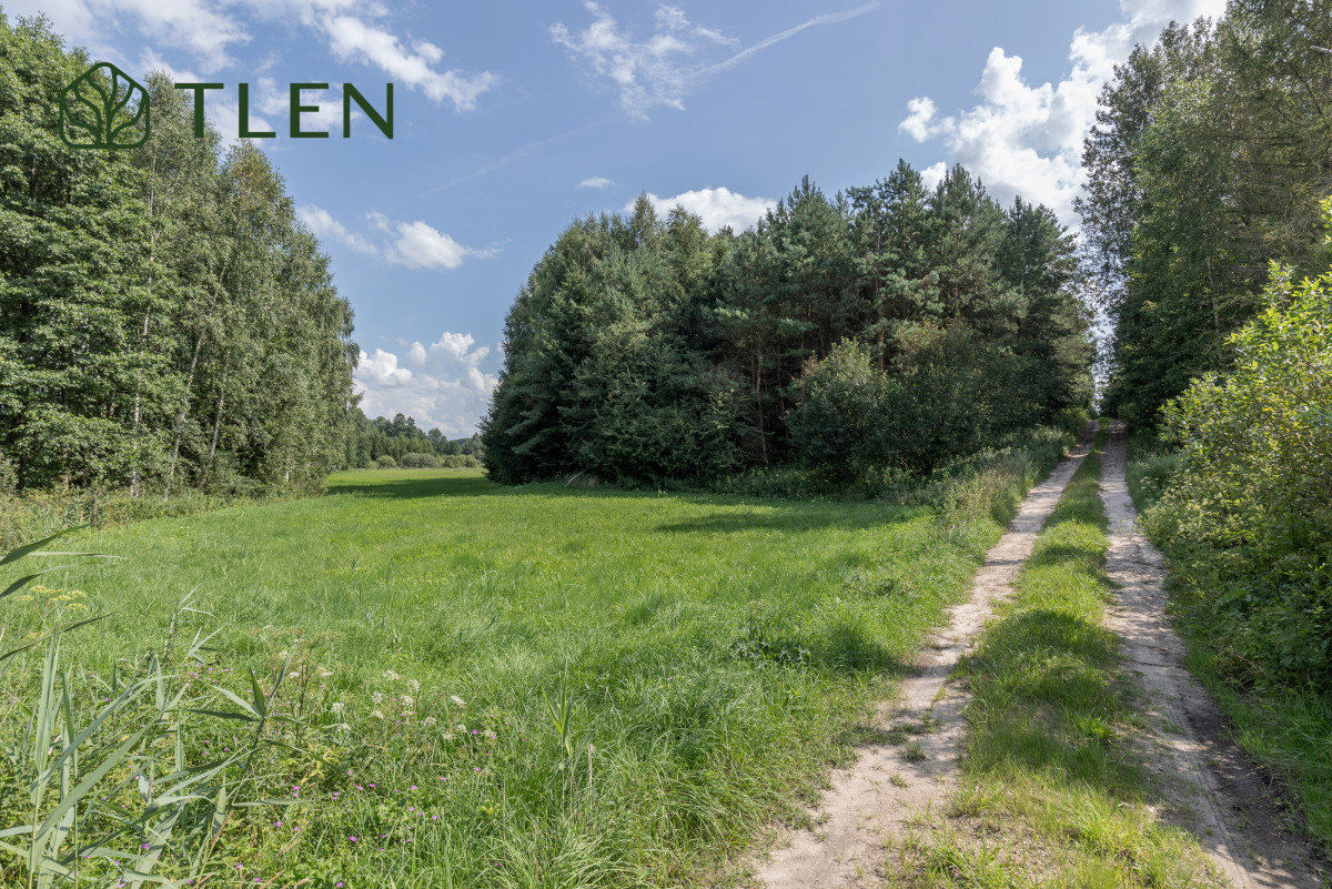 Działka 8,8 ha z projektem domu 150m2 i PnB