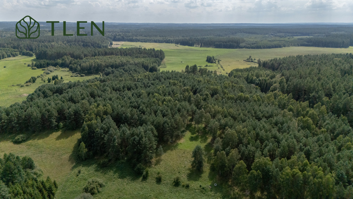 Działka 8,8 ha z projektem domu 150m2 i PnB