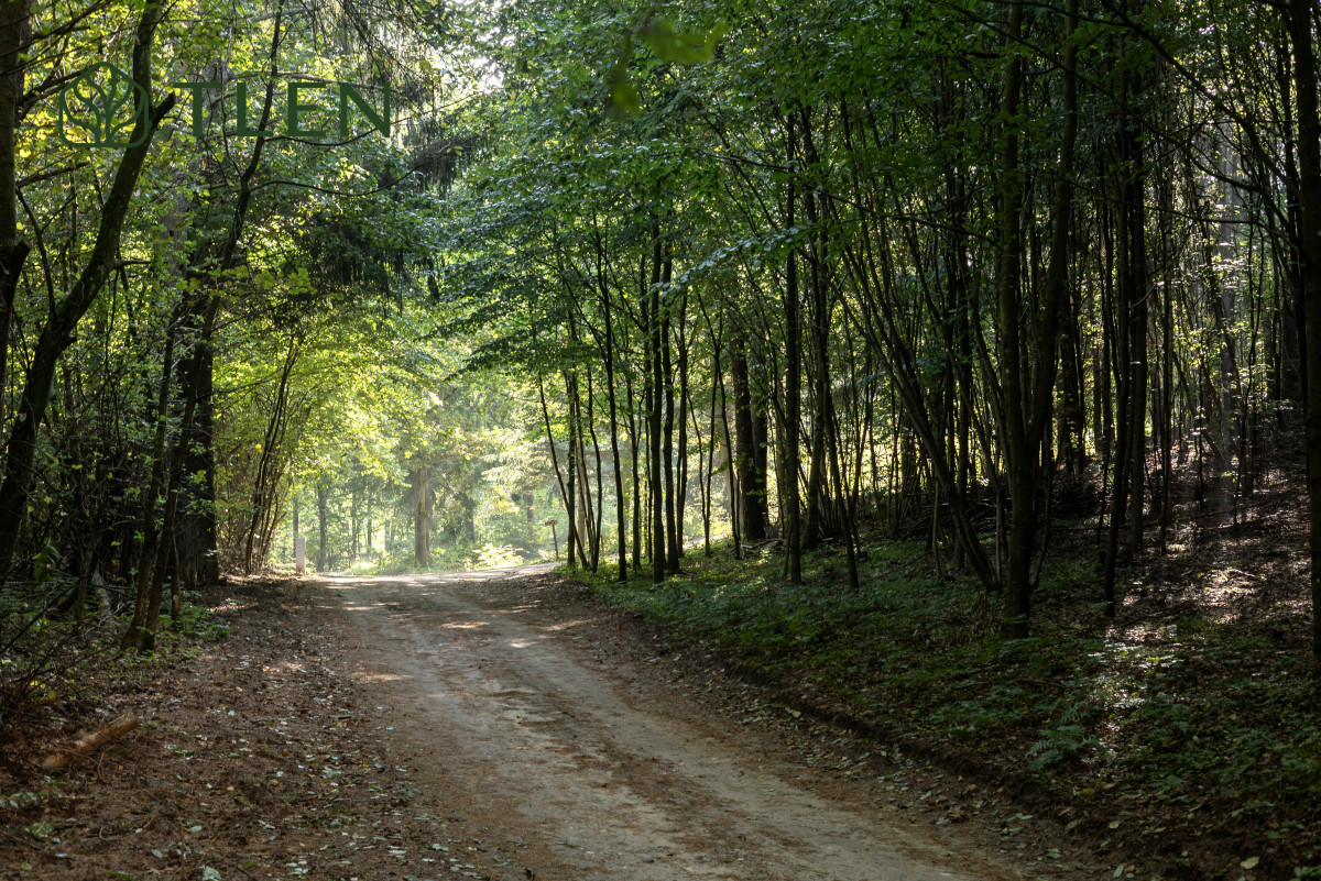 NOWOCZESNY DOM Z CLT W SERCU WARMII – PURDA