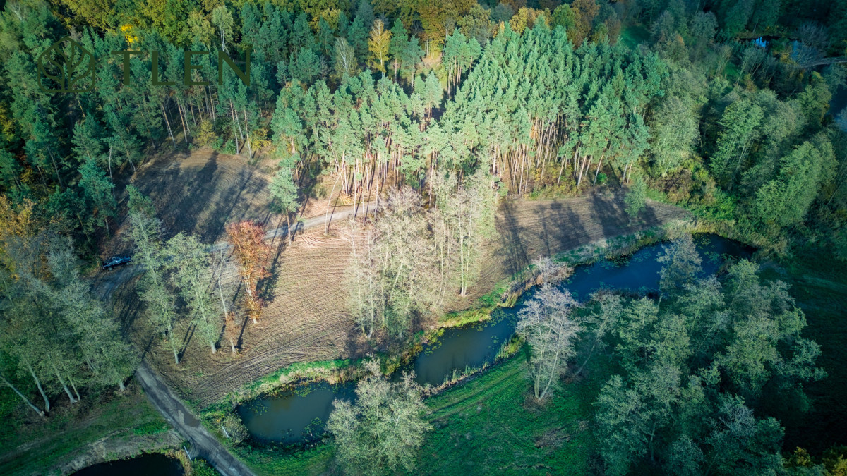 Działki z WZ nad Pilicą – obszar Natura 2000