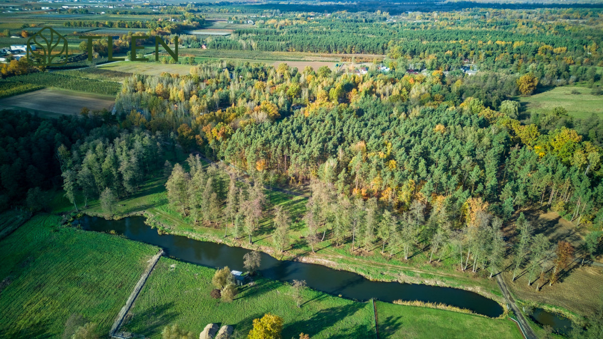 Działki z WZ nad Pilicą – obszar Natura 2000