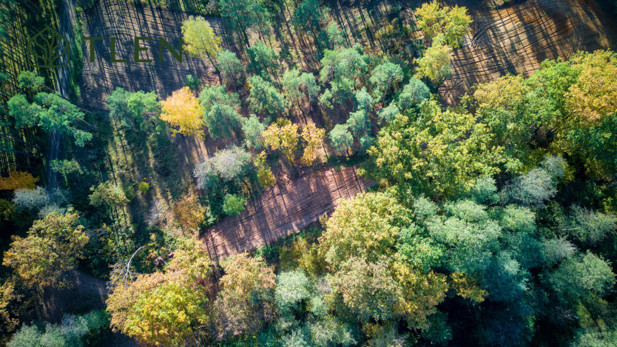 Działki z WZ nad Pilicą – obszar Natura 2000