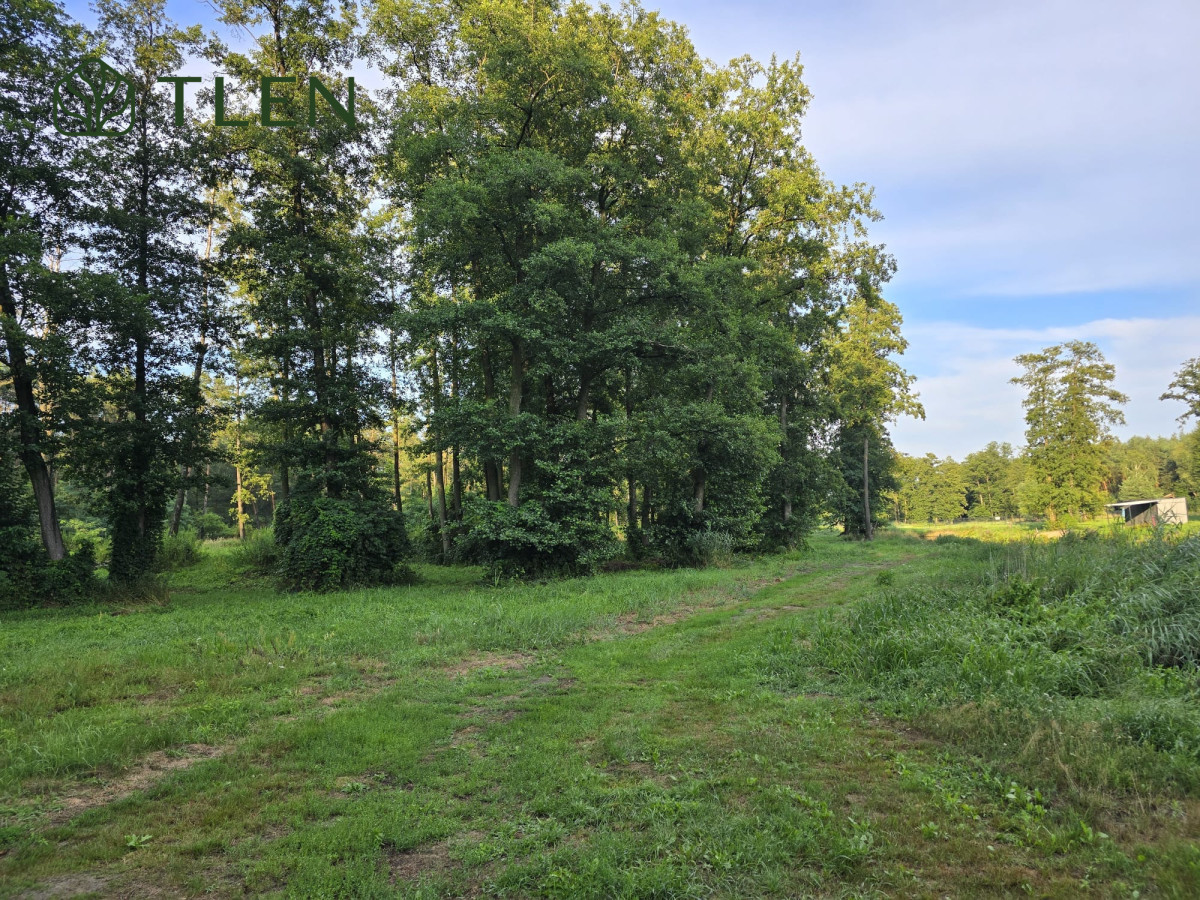 Działki z WZ nad Pilicą – obszar Natura 2000