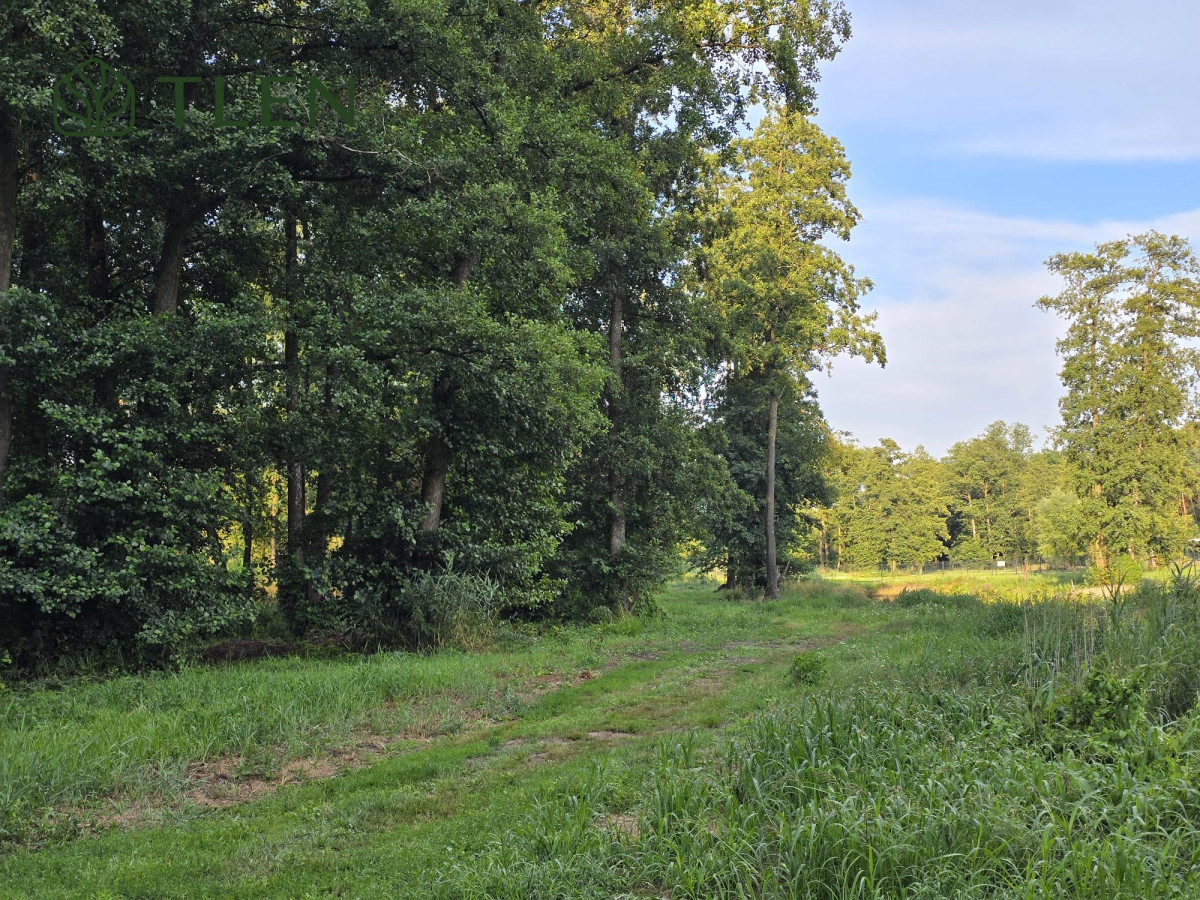 Działki z WZ nad Pilicą – obszar Natura 2000