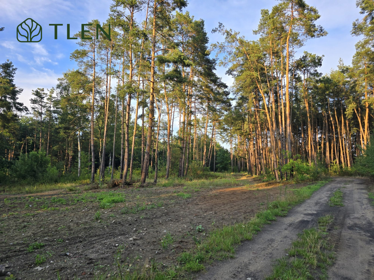 Działki z WZ nad Pilicą – obszar Natura 2000