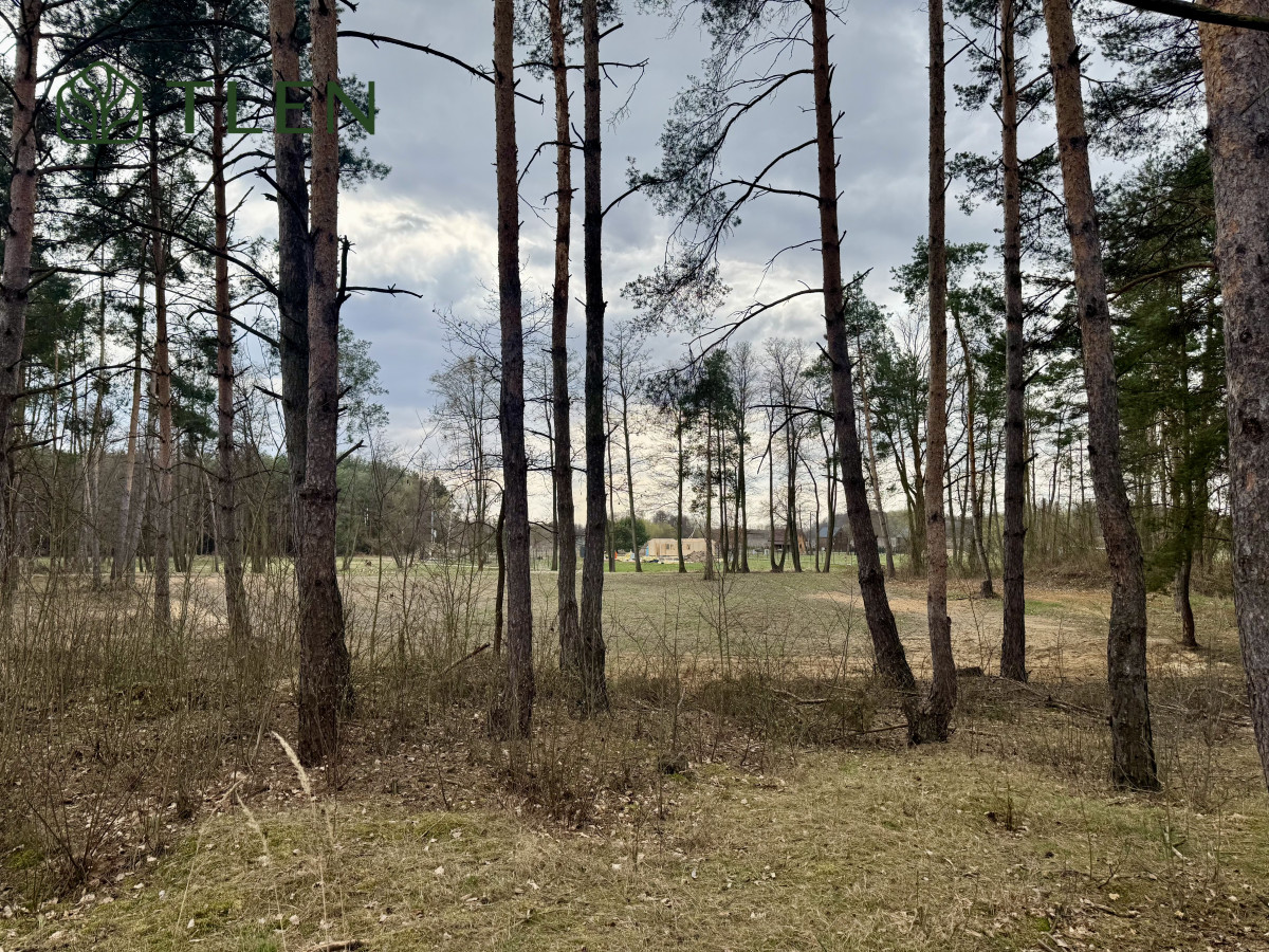 Działki z WZ nad Pilicą – obszar Natura 2000