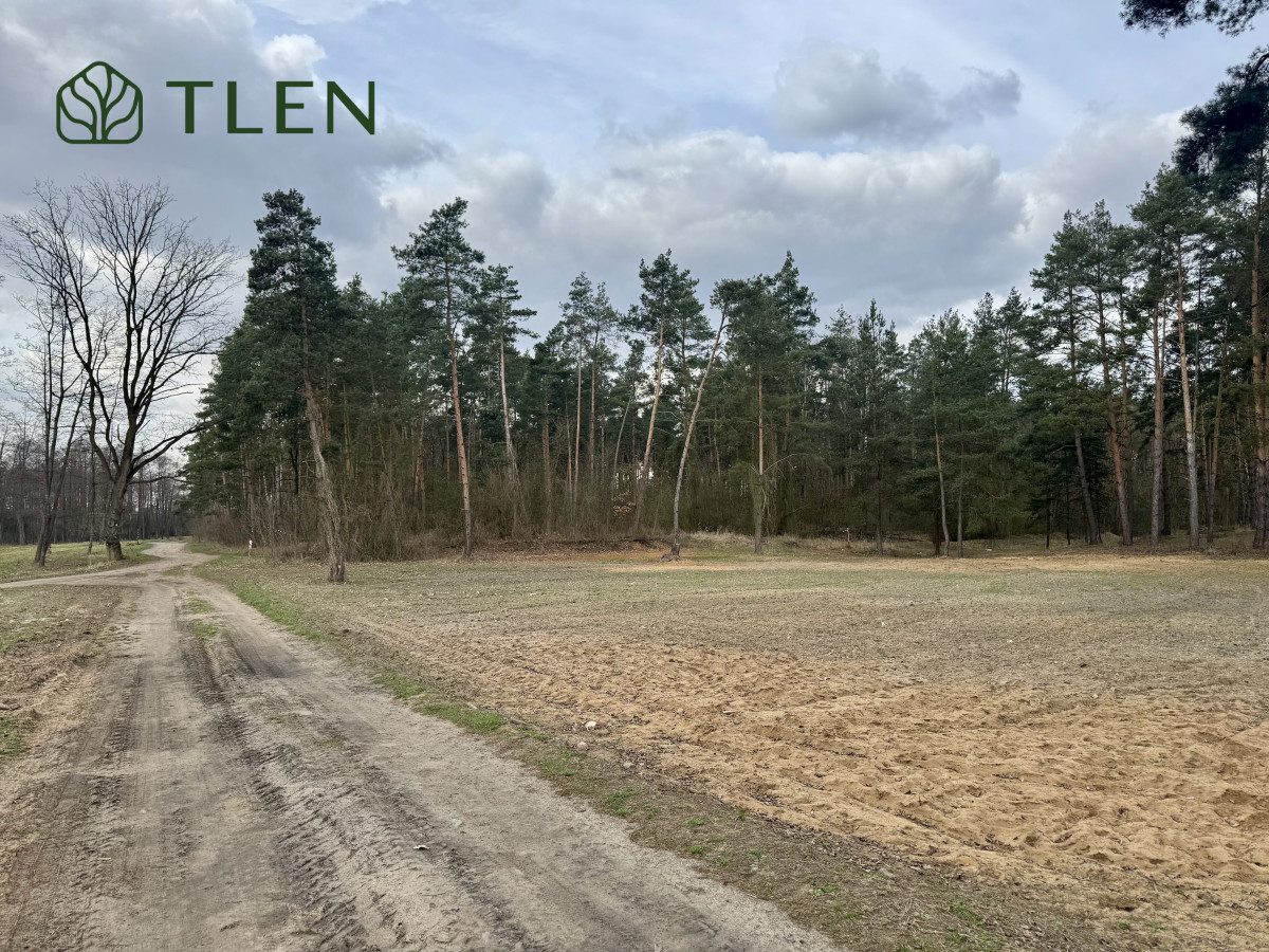 Działki z WZ nad Pilicą – obszar Natura 2000