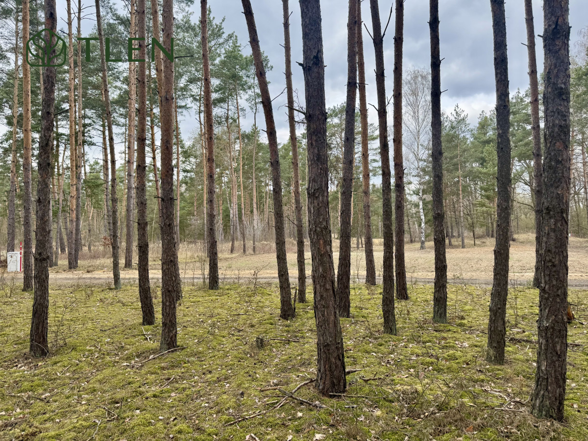 Działki z WZ nad Pilicą – obszar Natura 2000