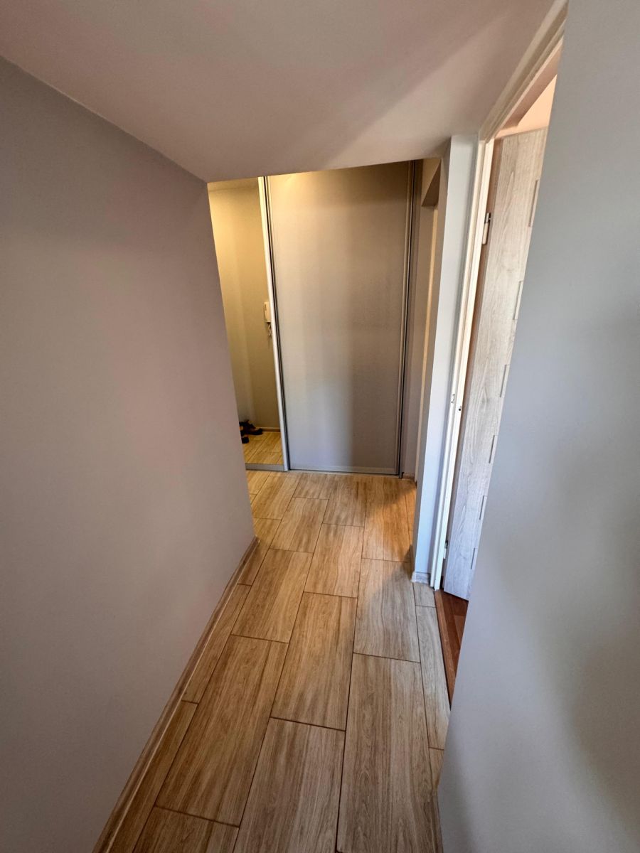 Mieszkanie na wynajem