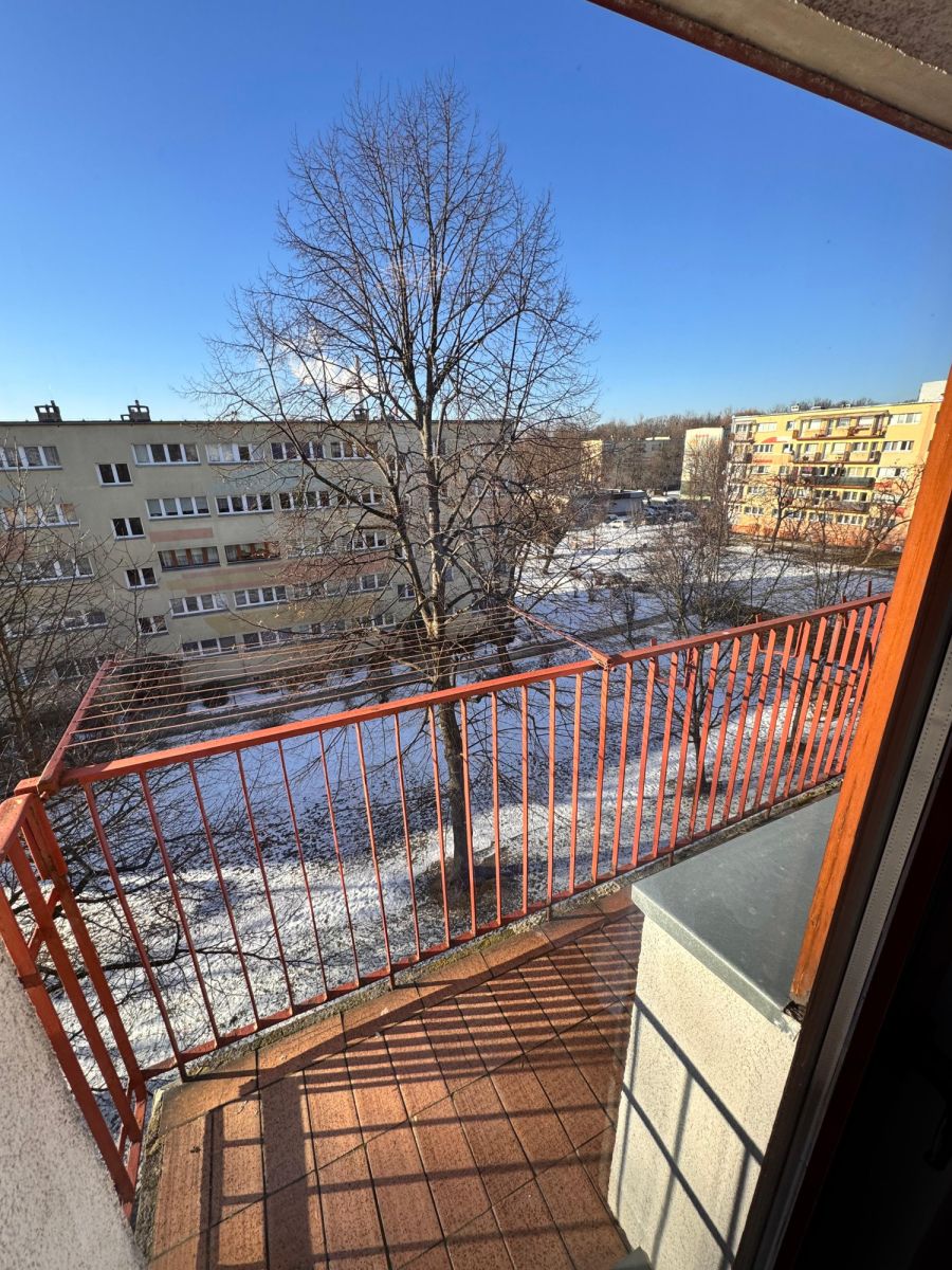 Mieszkanie na wynajem