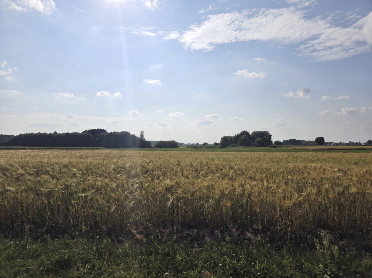Dom na sprzedaż