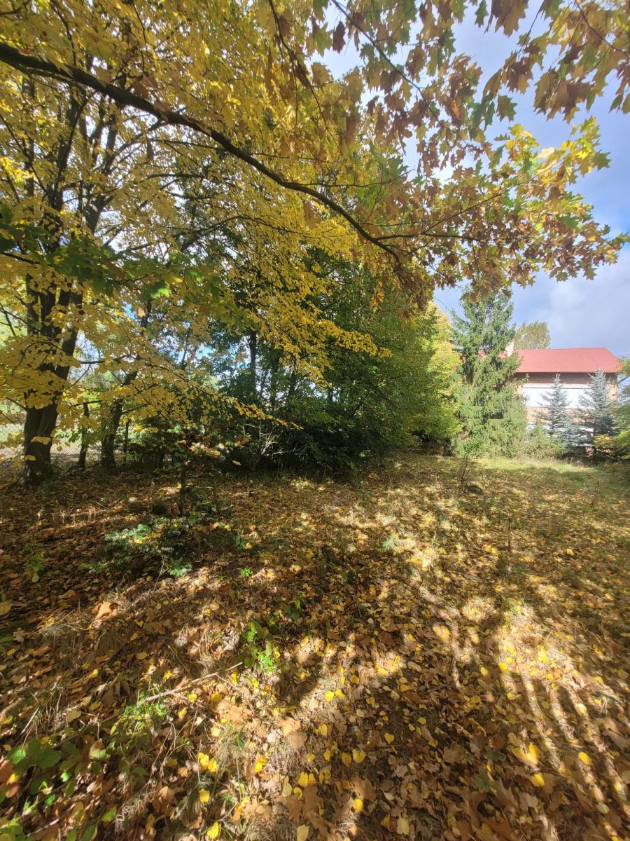 Dom na sprzedaż