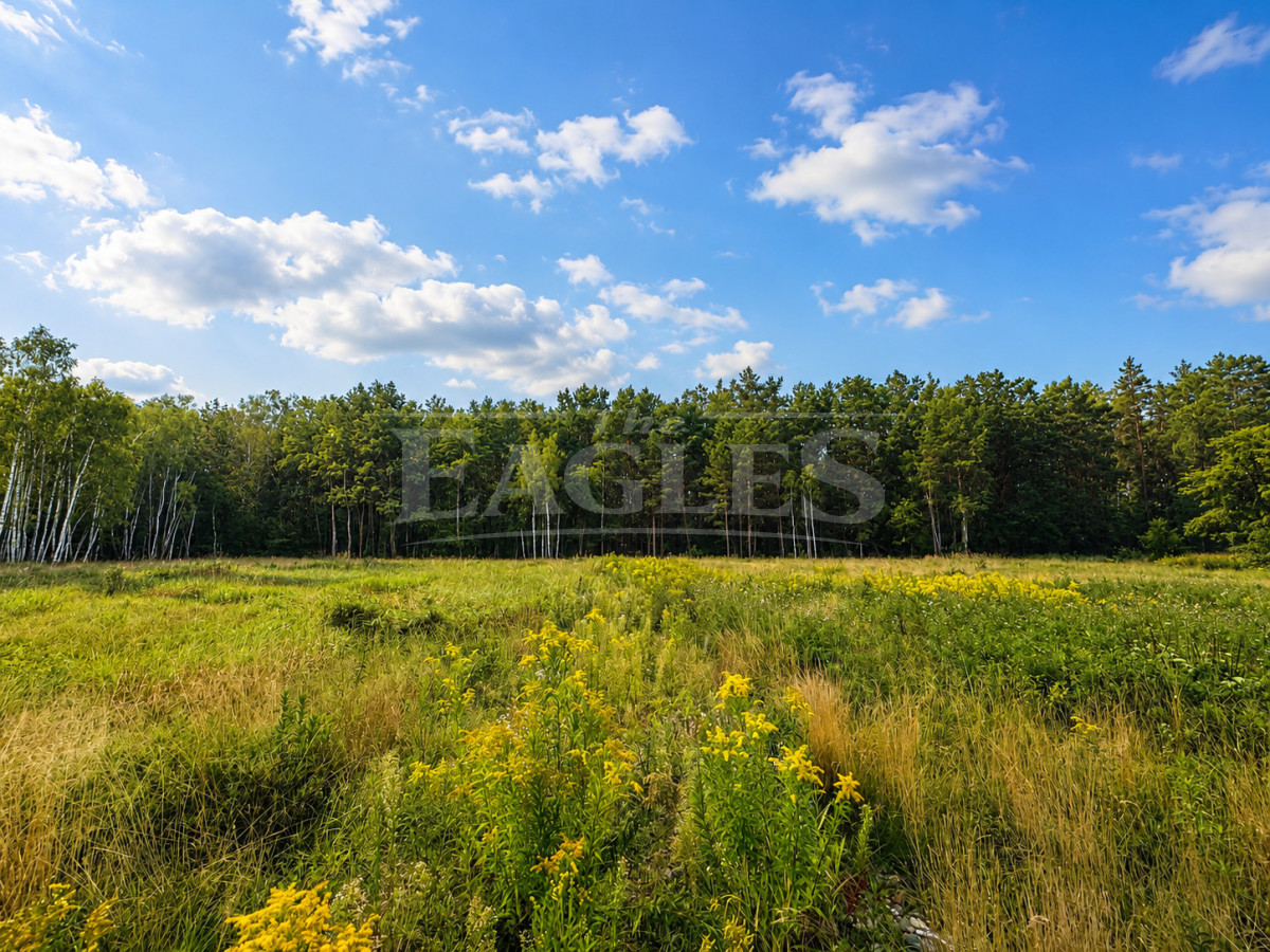 Wiązowna | Działka budowlana | 1163 m2