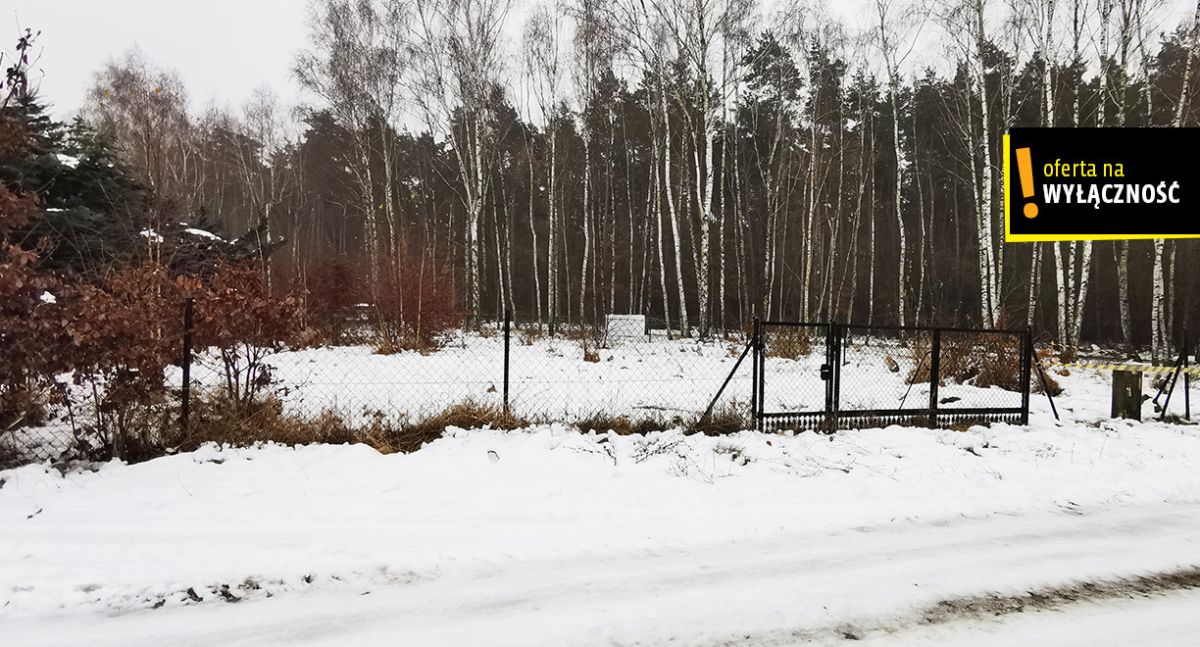 Działka pod Twój dom Borowo Młyn