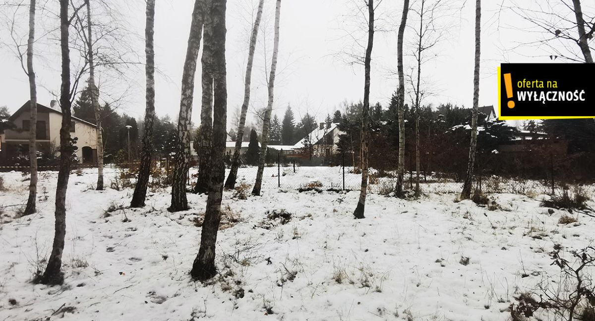 Działka pod Twój dom Borowo Młyn