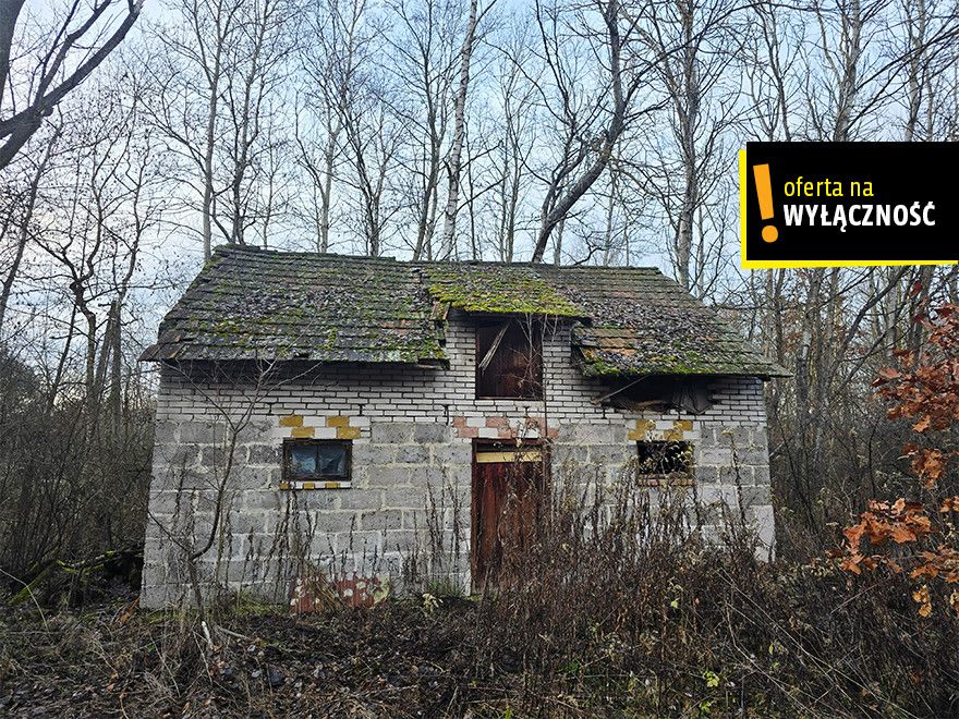 Siedlisko z własnym lasem i budynkami w Górnowoli