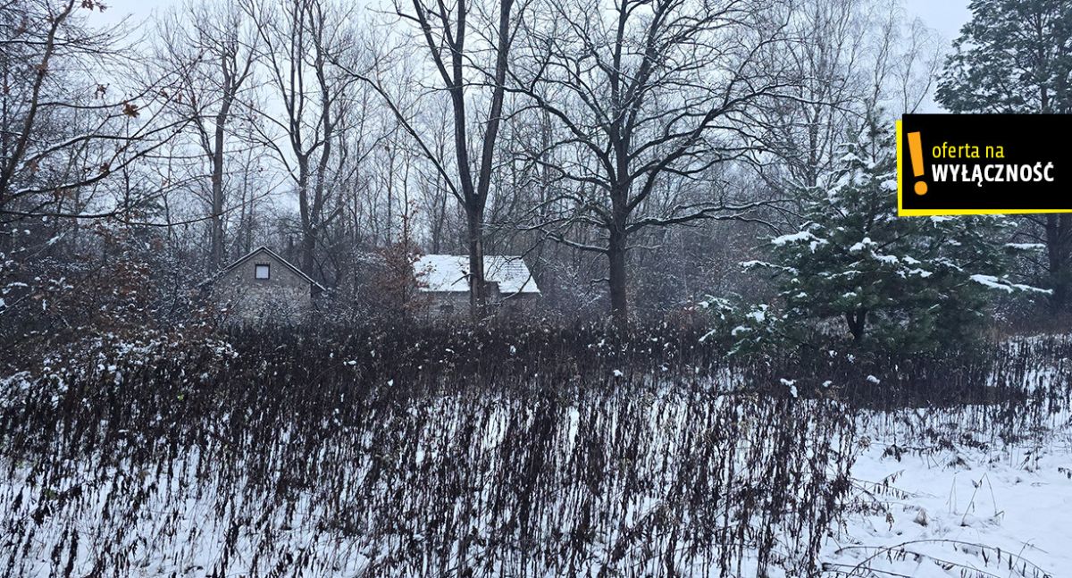 Siedlisko z własnym lasem i budynkami w Górnowoli