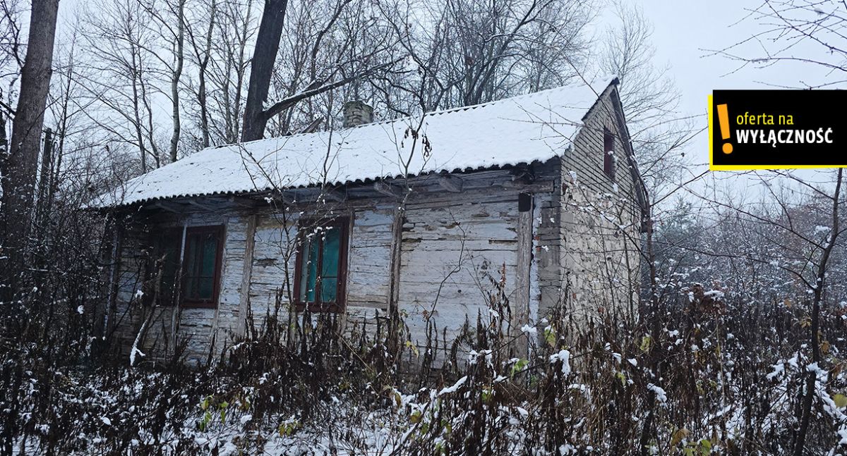 Siedlisko z własnym lasem i budynkami w Górnowoli