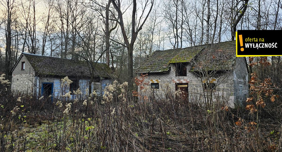 Siedlisko z własnym lasem i budynkami w Górnowoli