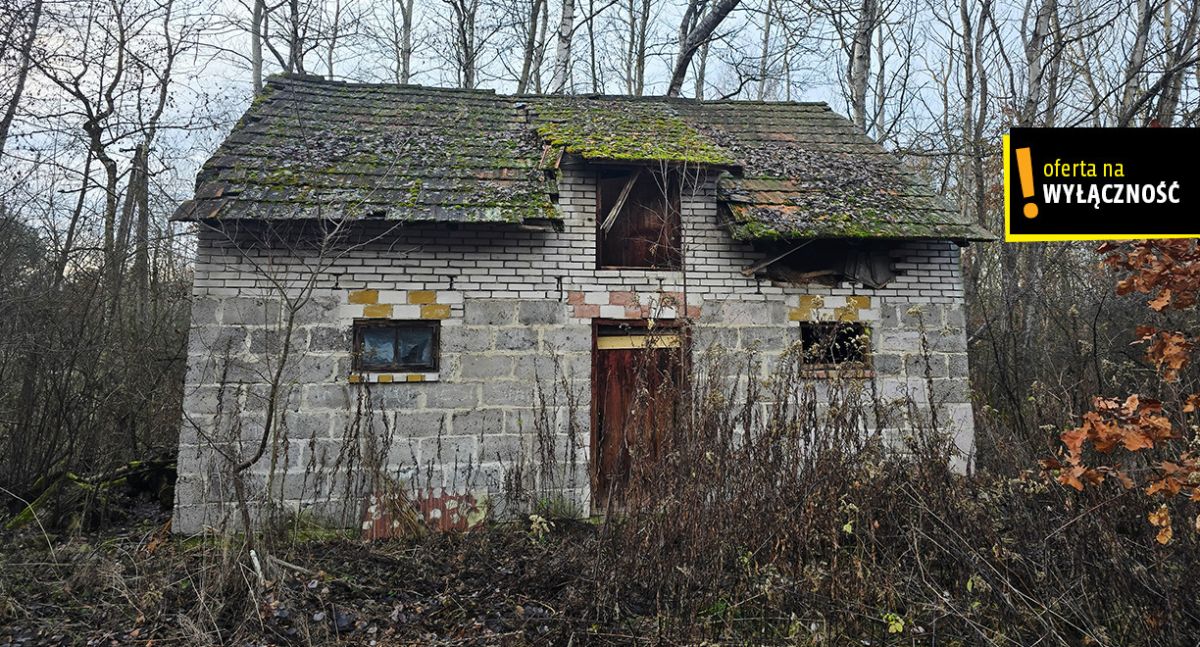 Siedlisko z własnym lasem i budynkami w Górnowoli