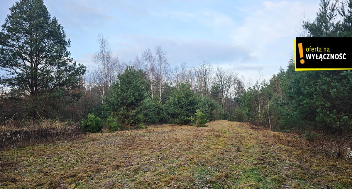 Siedlisko z własnym lasem i budynkami w Górnowoli