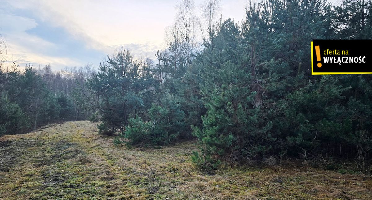 Siedlisko z własnym lasem i budynkami w Górnowoli