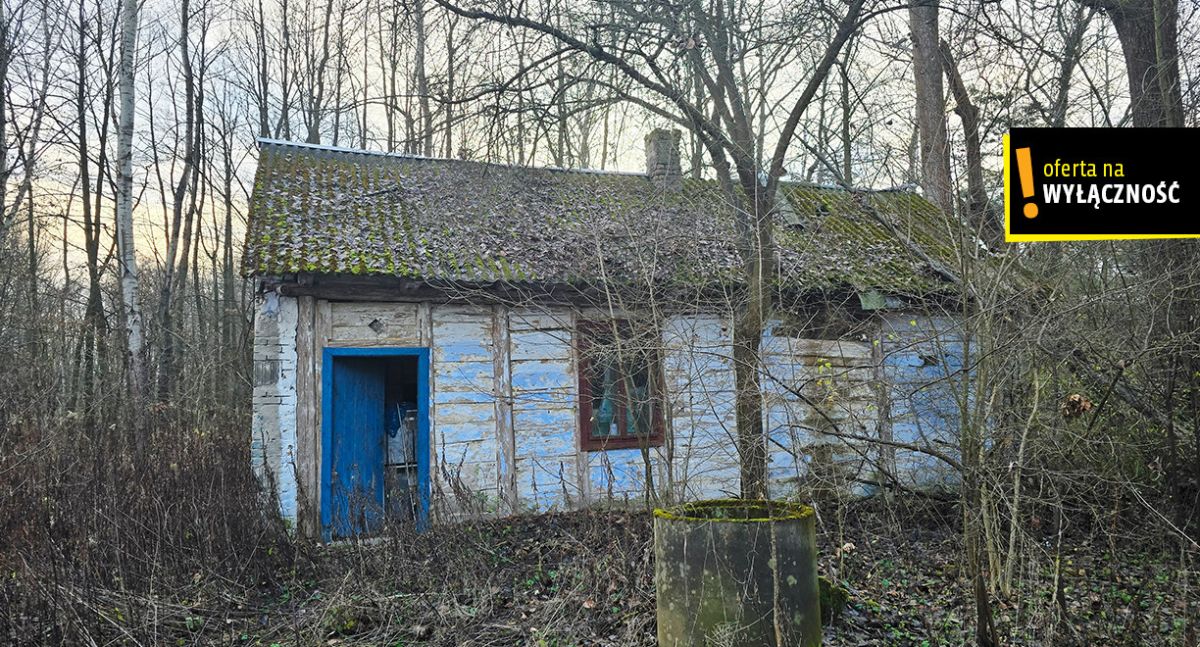 Siedlisko z własnym lasem i budynkami w Górnowoli