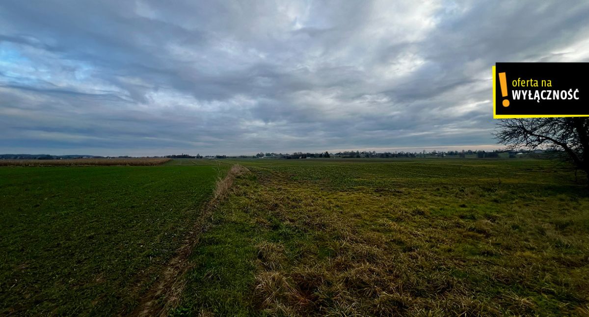 Dom jednorodzinny z dużą działką 8000 m²